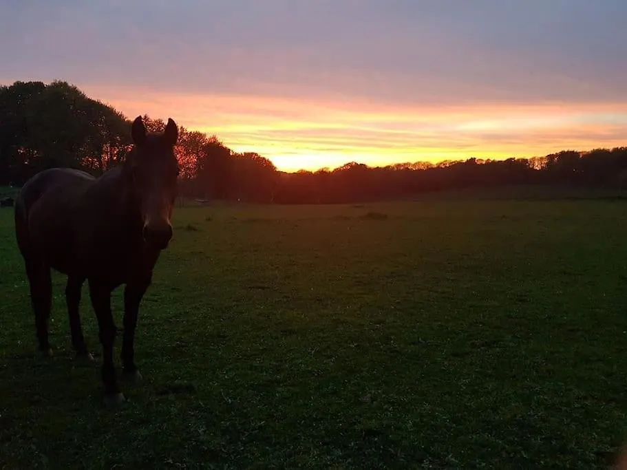 Sous Le Grand Chene, Gite A La Ferme, Finistere Pouldergat 0*,