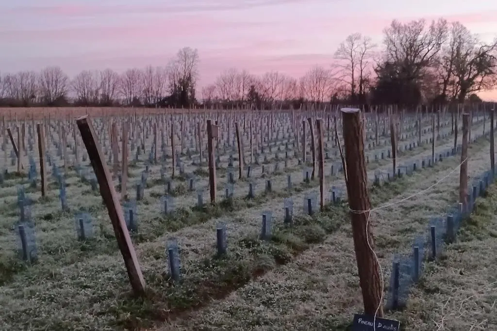 Sous Le Grand Chene, Gite A La Ferme, Finistere Pouldergat Nyaraló